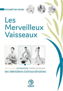 Les merveilleux vaisseaux : Rencontrer, comprendre, mettre en oeuvre les méridiens extraordinaires
