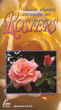 Choisir planter rosiers