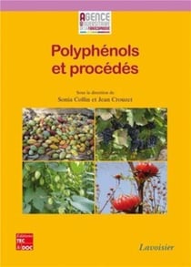 Polyphénols et procédés : Transformation des polyphénols au travers des procédés appliqués à l'agroalimentaire