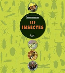 Tout comprendre - les insectes
