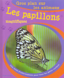Gros plan sur les animaux 10. les papillons magnifiques