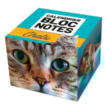 Calendrier bloc notes chats