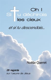 Oh! si tu déchirais les cieux et si tu descendais ? 35 regards sur l'oeuvre de jésus
