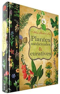Plantes médicinales et curatives