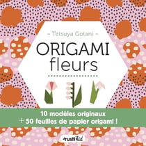Origamis fleurs