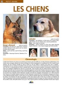 Les chiens