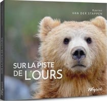 Sur la piste de l'ours