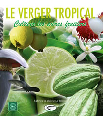 Verger tropical - cultiver les arbres fruitiers