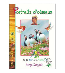 Portraits d'oiseaux de la mer à la terre