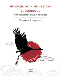 Au coeur de la méditation bouddhique - vers l'éveil sans attaches ni limites