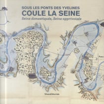 Sous les ponts domestiques coule la seine