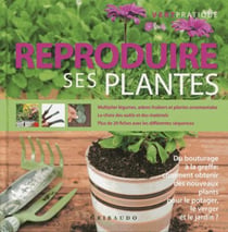 Reproduire ses plantes - du bouturage à la greffe