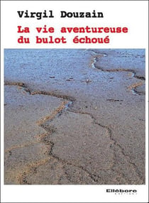 La vie aventureuse du bulot échoué