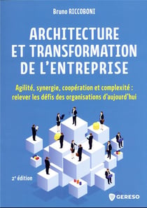 Architecture d'entreprise : agilité, synergie, coopération et complexité (2e édition)