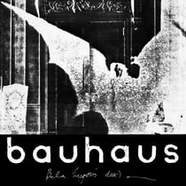 The Bela session
