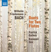 Duets for two flutes
