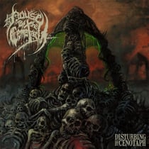 Disturbing The Cenotaph