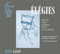 Les musiciens et la grande guerre vol.34 : élégies