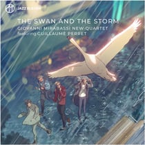 The swan and the storm