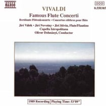 Flute Concerti