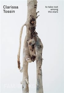 Clarissa Tossin : To take root among the stars