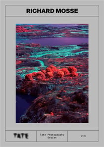 Tate photography : Richard Mosse