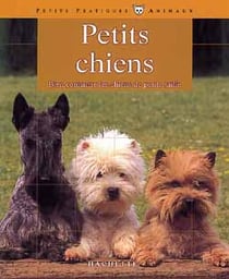 Petits chiens