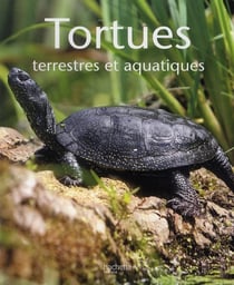 Tortues - terrestres et aquatiques