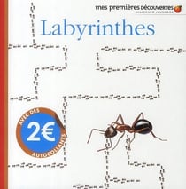 Le labyrinthe des insectes