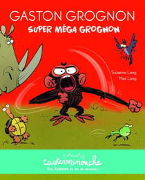 Casterminouche : Gaston Grognon : super méga grognon