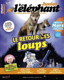 L'éléphant junior n.6 : le retour des loups
