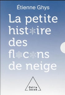 La petite histoire des flocons de neige
