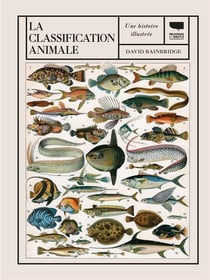 La classification animale - une histoire illustrée
