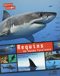 Requins - un monde fascinant