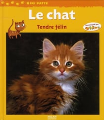 Le chat, tendre félin