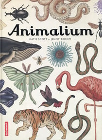 Animalium