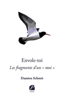 Envole-toi - les fragments d'un "moi"