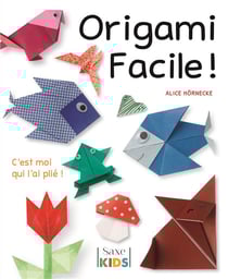 Origami facile !