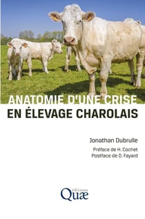 Anatomie d'une crise en élevage charolais