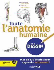 Apprendre l'anatomie du corps humain par le dessin
