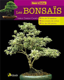 Les bonsais