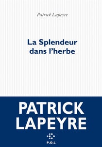 La splendeur dans l'herbe
