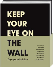 Keep your eye on the wall - paysages palestiniens