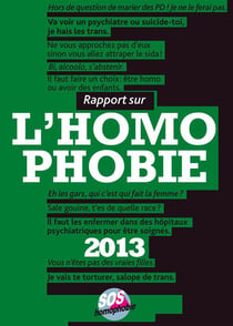 Rapport sur l'homophobie 2013
