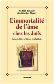 L'immortalité de l'âme chez les juifs - selon la bible, le talmud et la kabbale