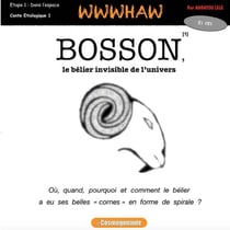 BOSSON, le bélier invisible de l'univers : E1 CE1