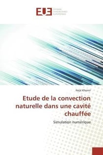 Etude de la convection naturelle dans une cavite chauffee - simulation numerique