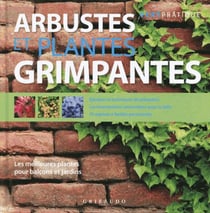Arbustes et plantes grimpantes - les meilleures plantes pour balcons et jardins