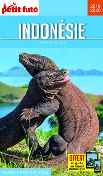 Country guide : Indonésie (édition 2019/2020)