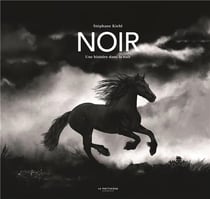 Noir : une histoire dans la nuit